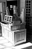 Orgel